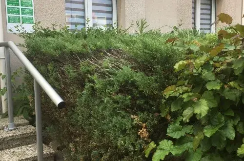 Espace Vitalité Jules Verne