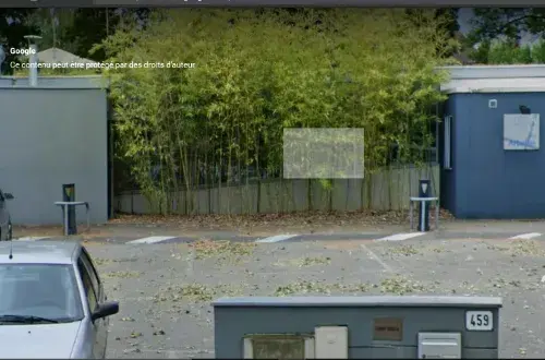 Lise ALLOING Psychologue